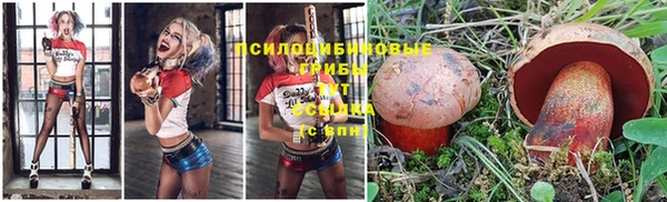 каннабис Алексин